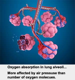Oxygen Absorption affected by Air Pressure